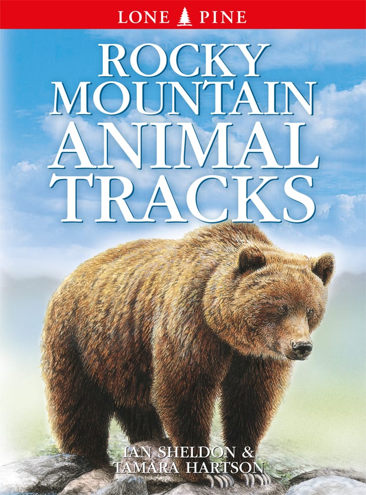Rocky Mountain Animal Tracks Canada Book Distributors